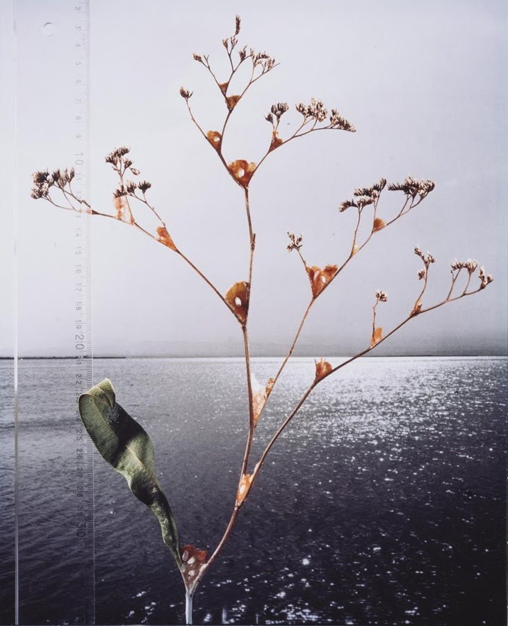 Arte con alma, conciencia y conexión: la propuesta transformadora del IVAM